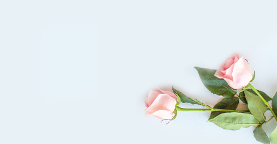 Sympathy Flowers Brompton
